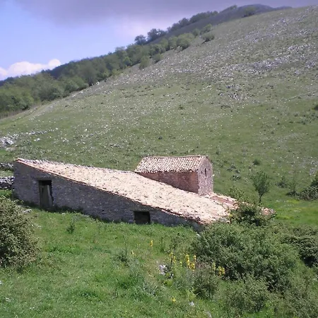 Apartament Alzeco Bed-and-breakfast *